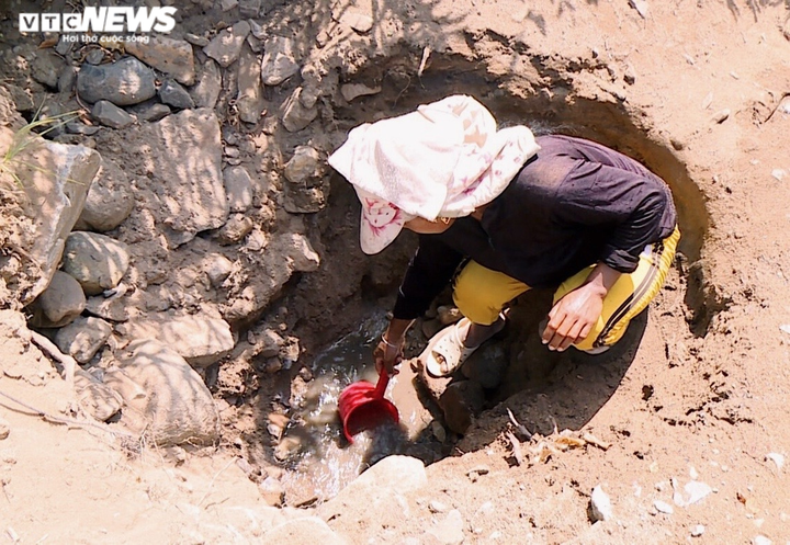 Hạn kinh hoàng, người Gia Lai mót từng giọt nước đục ngầu từ hố trũng về ăn - 5