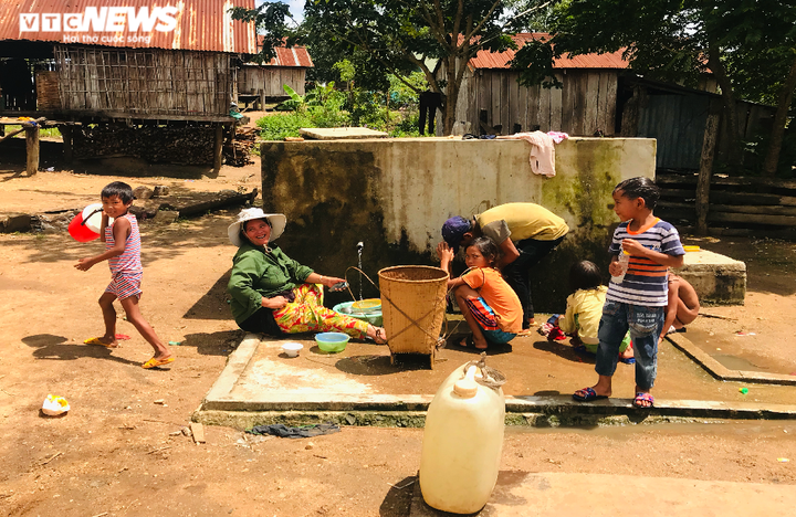 Hạn kinh hoàng, người Gia Lai mót từng giọt nước đục ngầu từ hố trũng về ăn - 8