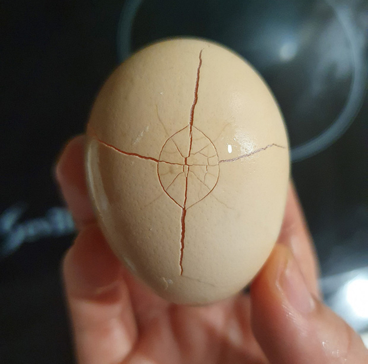 Thảm họa nấu ăn: Món trứng 'người ngoài hành tinh' - 3