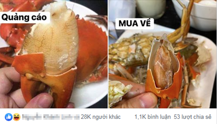 Món cua biển 'tội nghiệp' khiến khổ chủ tá hỏa - 1