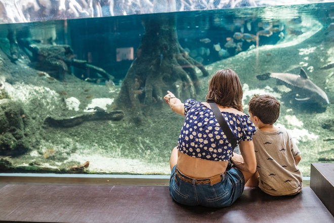 Thưởng tiền khi con điểm cao - sai lầm ảnh hưởng tương lai trẻ, cha mẹ cần tránh - 9