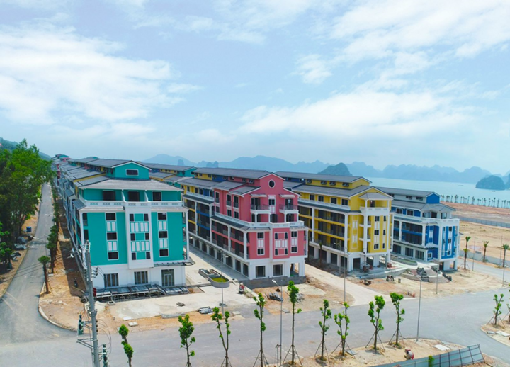 Lộ diện dự án 'vàng mười' sau đại dịch COVID-19 - 1