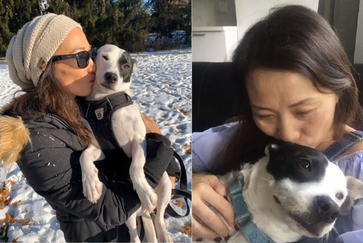 Tình bạn kỳ lạ giữa chú chó sợ người và người phụ nữ sợ chó ở Canada - 1