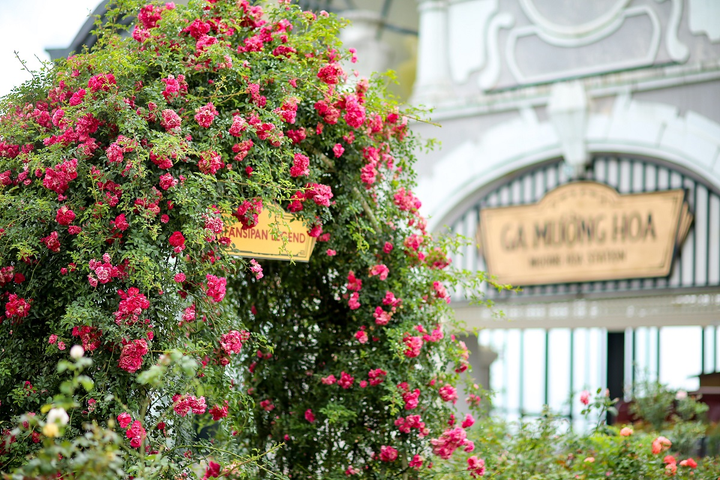 3 hành trình du lịch Sa Pa đẹp, chất, rẻ nhất, không đi sẽ hối tiếc - 3