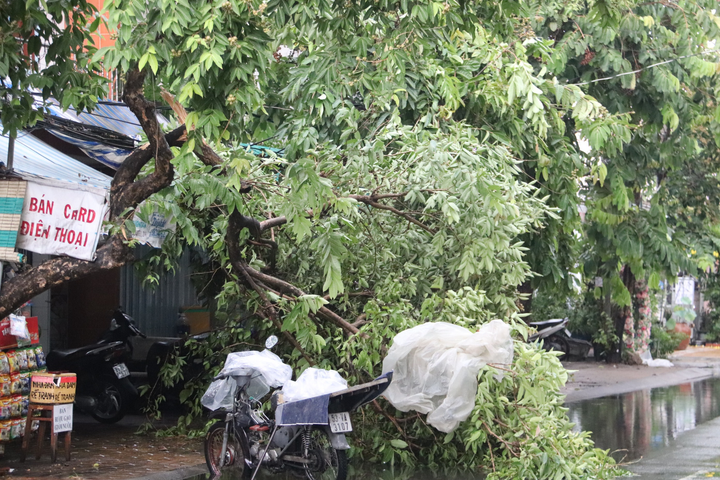 Sau mưa lớn, nhiều tuyến đường ngập sâu, người Cần Thơ bì bõm dắt xe - 7