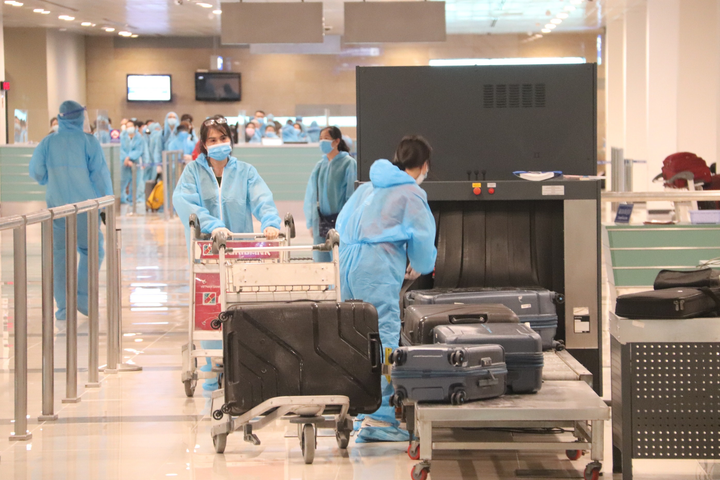 Ảnh: 344 công dân Việt Nam từ Singapore về sân bay Cần Thơ - 1