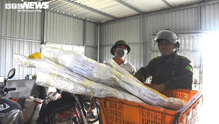 Ngắm hơn 10.000 gốc hồng cổ của nông dân đất Cảng - 14