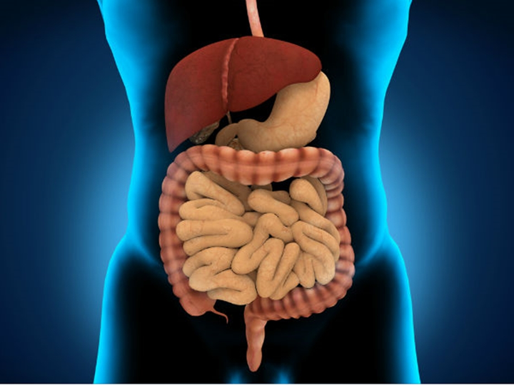 Lợi ích tuyệt vời của dưa hấu với sức khỏe không phải ai cũng biết - 3