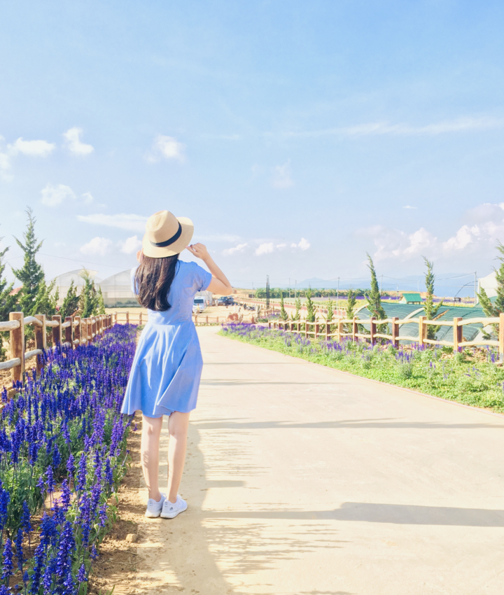 Có một Đà Lạt mộng mị đến thế! - 1