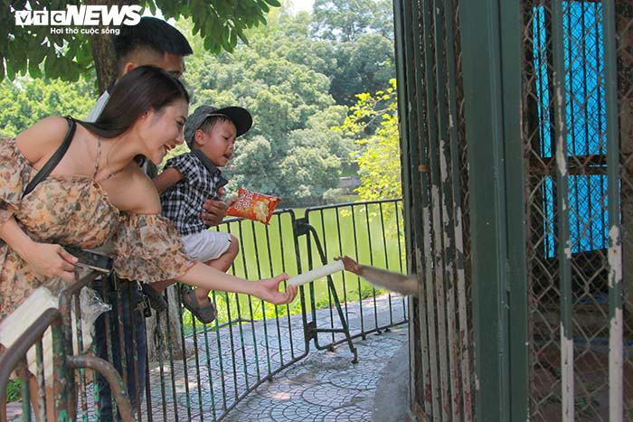 Công viên vắng như chùa Bà Đanh, trẻ nhỏ mệt lử trong ngày Tết Thiếu nhi oi nóng - 4