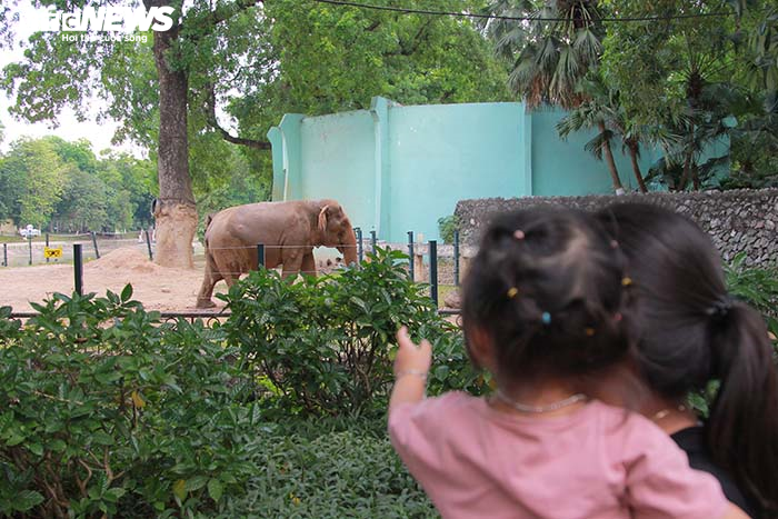 Công viên vắng như chùa Bà Đanh, trẻ nhỏ mệt lử trong ngày Tết Thiếu nhi oi nóng - 3