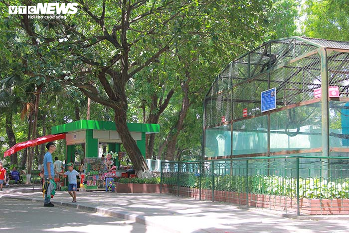 Công viên vắng như chùa Bà Đanh, trẻ nhỏ mệt lử trong ngày Tết Thiếu nhi oi nóng - 5