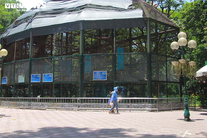 Công viên vắng như chùa Bà Đanh, trẻ nhỏ mệt lử trong ngày Tết Thiếu nhi oi nóng - 6