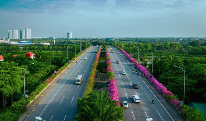 Vệt hoa giấy nhuộm tím một góc khu đô thị Ecopark - 13