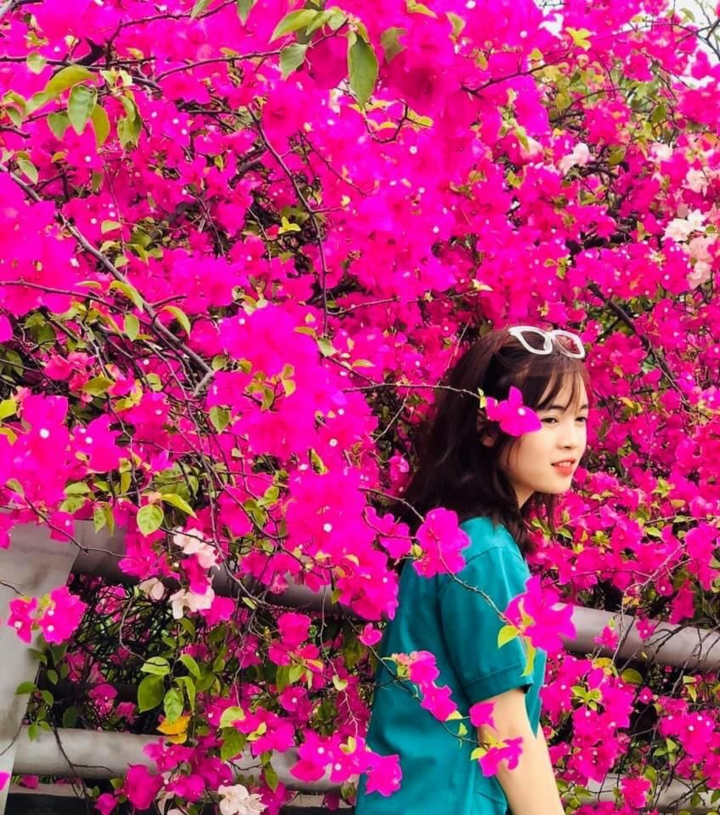 Vệt hoa giấy nhuộm tím một góc khu đô thị Ecopark - 16