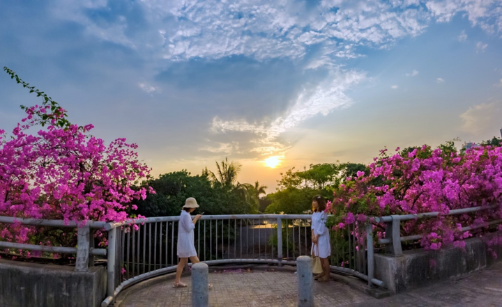 Vệt hoa giấy nhuộm tím một góc khu đô thị Ecopark - 5