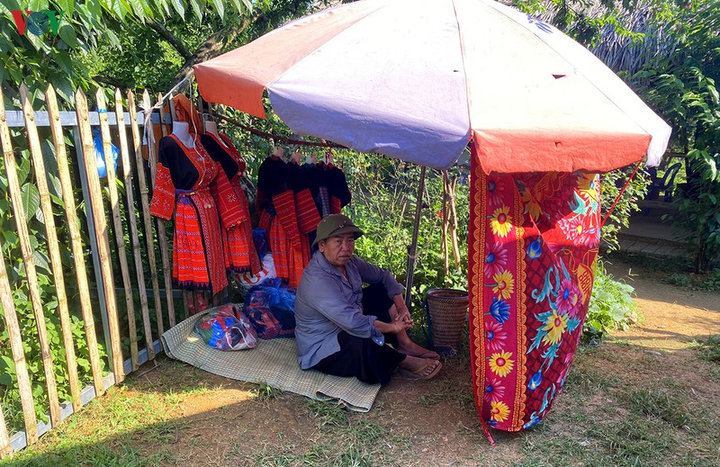 Quả 'vàng' vào mùa thu hoạch, nông dân Mộc Châu kiếm tiền triệu mỗi ngày - 13