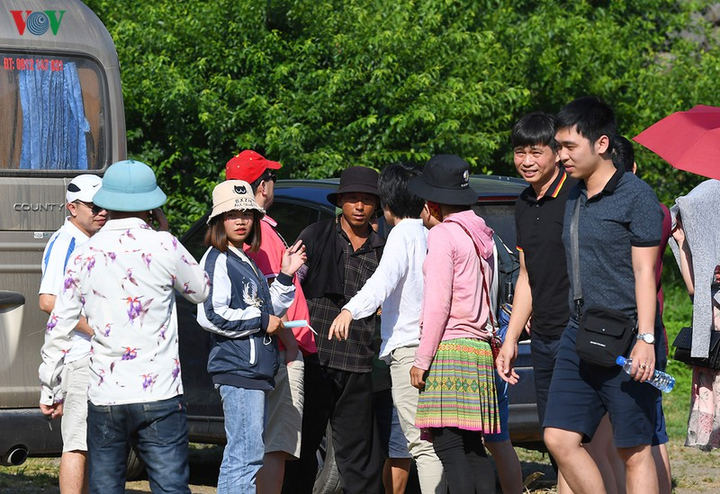 Quả 'vàng' vào mùa thu hoạch, nông dân Mộc Châu kiếm tiền triệu mỗi ngày - 6