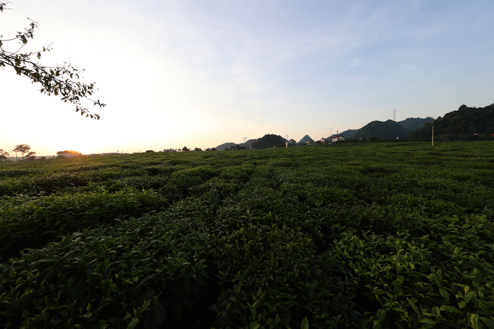 Mộc Châu xanh mướt những ngày hè - 8