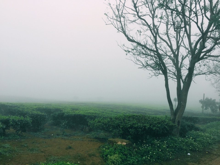 Mộc Châu xanh mướt những ngày hè - 3