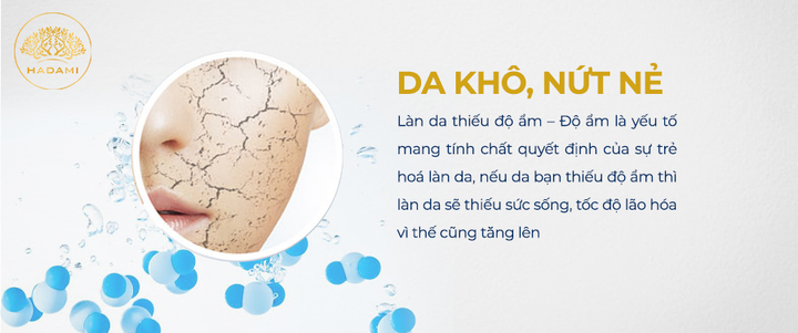 Bước vào cuộc chiến chống lão hóa da: Ai nhanh người đó thắng - 1