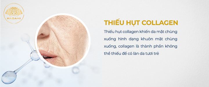 Bước vào cuộc chiến chống lão hóa da: Ai nhanh người đó thắng - 2