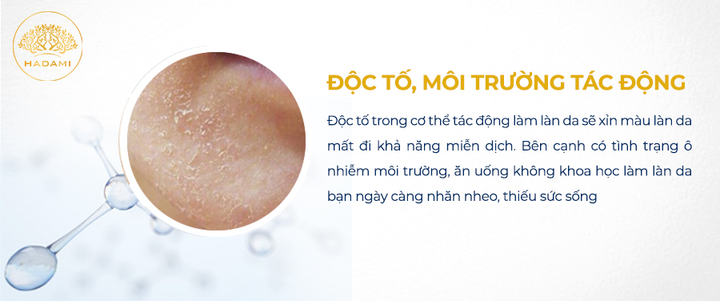 Bước vào cuộc chiến chống lão hóa da: Ai nhanh người đó thắng - 3