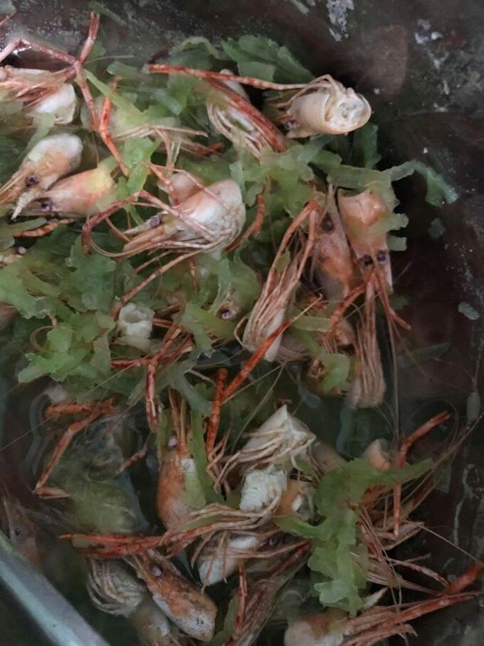 Món canh râu tôm ruột bầu khiến vợ hãi hùng - 4
