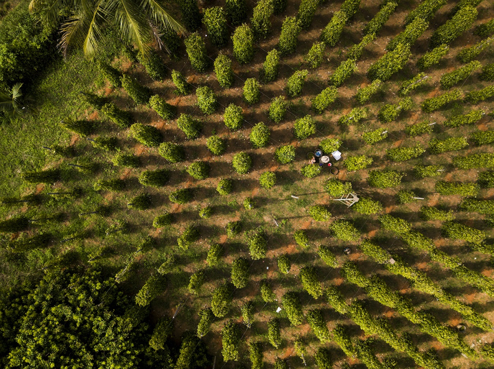 Phú Quốc đẹp bốn mùa, nhưng đây là những lý do cần đi ngay kẻo lỡ - 7