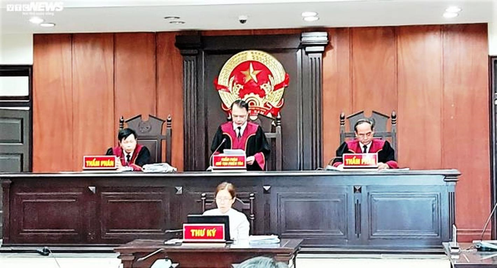 Đà Nẵng thua kiện Công ty Vipico, tòa yêu cầu thi hành án - 2