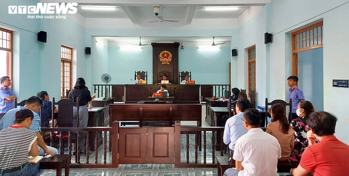 Vì sao tòa bác đơn phụ huynh kiện Trường quốc tế Singapore tại Đà Nẵng? - 1