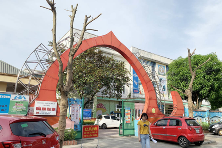 Chặt cây đang tươi tốt, trường học ở Nghệ An bị kiểm điểm - 2