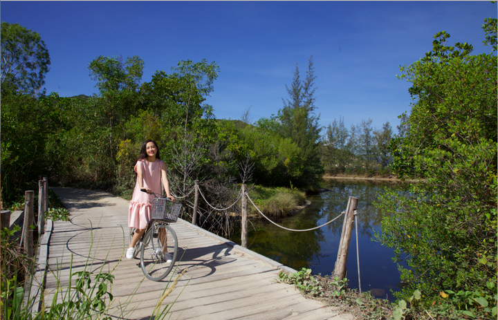 Bất động sản nghỉ dưỡng: 'Vũ khí mới' của nhà đầu tư - 1