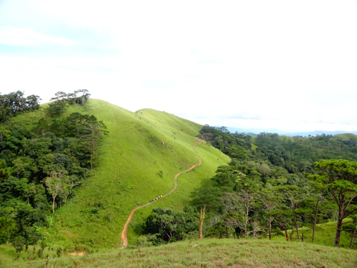 Cú chết hụt trên cung đường trek đẹp nhất Việt Nam - 10