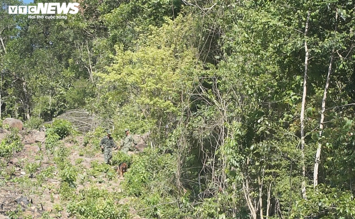 Phong tỏa đèo Hải Vân, ráo riết truy bắt tội phạm giết người trốn khỏi trại giam - 5