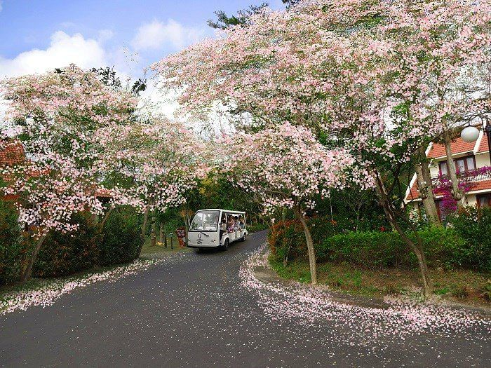 Sống xanh an lành tại phân khu đáng sống bậc nhất Danko City - 2