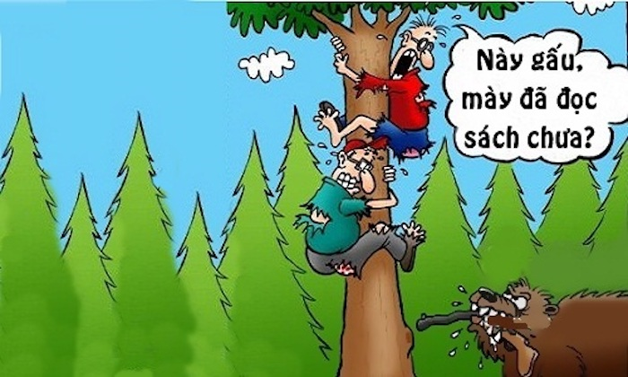 Sợ xanh mặt vì gấu không đọc sách - 1