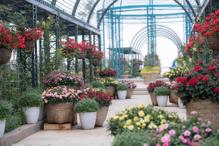 Kích cầu liên tiếp, Bà Nà Hills đón tín hiệu vui - 7