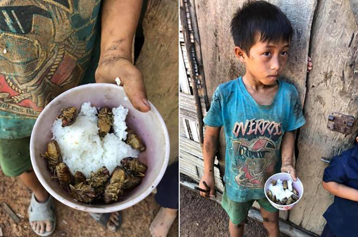 4 đứa trẻ Đắk Lắk ăn cơm nguội với ve sầu: Lãnh đạo huyện nói 'do sở thích' - 2