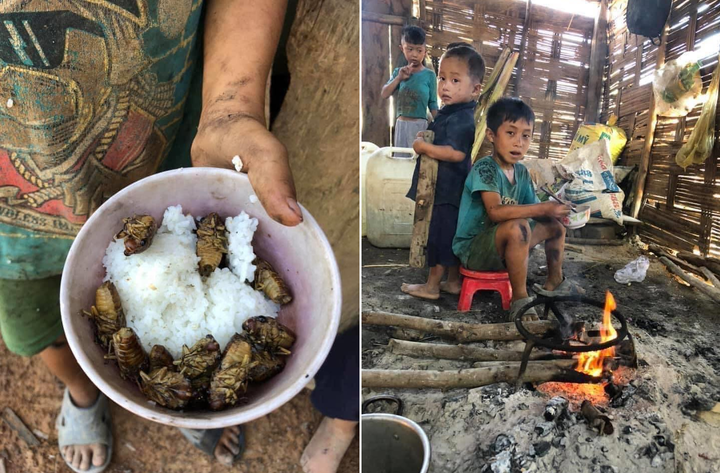 4 đứa trẻ ăn cơm nguội với ve sầu cả đời chưa biết 'mặt mũi' cái kẹo - 1