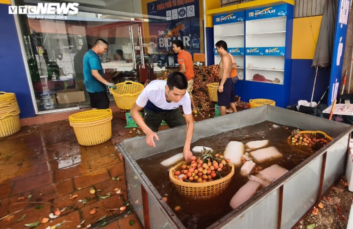 Ảnh: Bắc Giang rộn ràng mùa vải sớm - 14