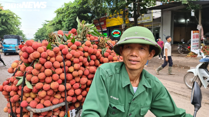 Ảnh: Bắc Giang rộn ràng mùa vải sớm - 11