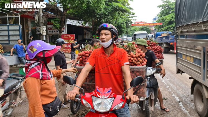 Ảnh: Bắc Giang rộn ràng mùa vải sớm - 8