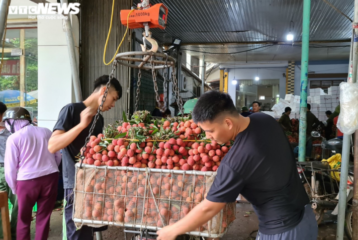 Ảnh: Bắc Giang rộn ràng mùa vải sớm - 9
