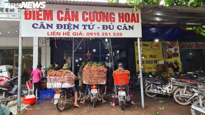 Ảnh: Bắc Giang rộn ràng mùa vải sớm - 7