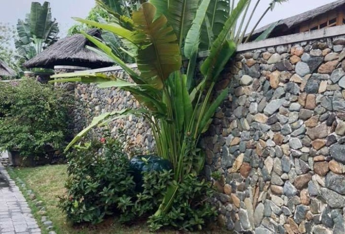 Không vay được tiền của bố để trả khoản nợ nửa tỷ đồng, chồng hậm hực trách tôi - 1