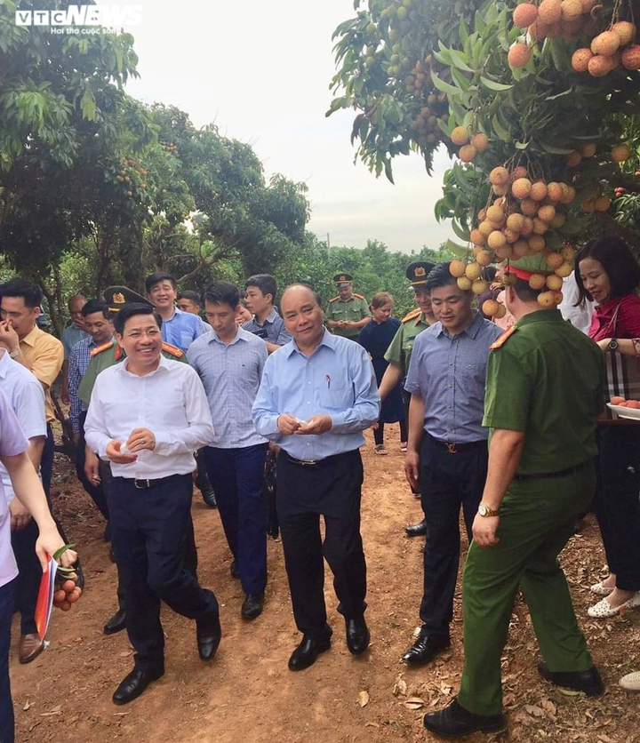 Thủ tướng sẽ cắt băng xuất hành đoàn xe vải thiều sang Trung Quốc và Nhật Bản - 1