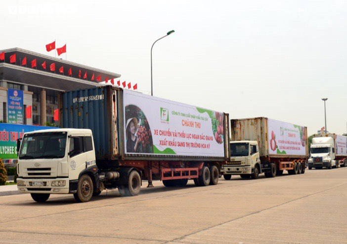 Thủ tướng yêu cầu tạo điều kiện doanh nghiệp thu mua vải , mở rộng thị trường - 2