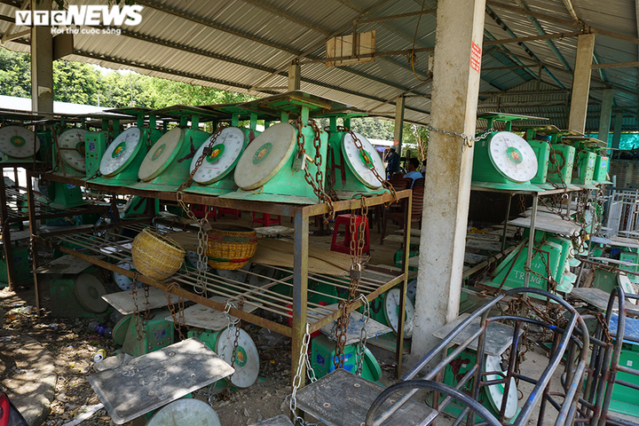 Chợ đầu mối vắng vẻ, thương lái đem lợn đến lại mang về - 5