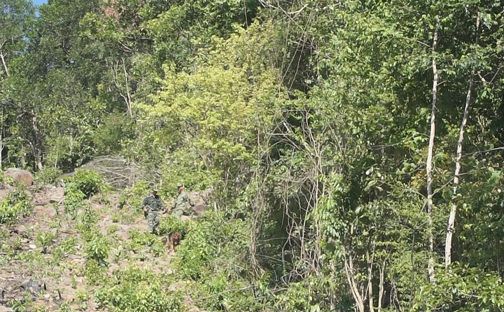 Truy bắt Triệu Quân Sự: Cục Điều tra Bộ Quốc phòng lên phương án mới - 1